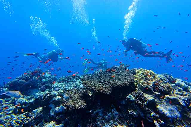 Potápění a makro fotografování na Anilao, Filipíny