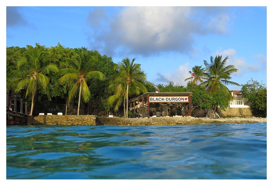 Karibské moře a resort Black Durgon Inn