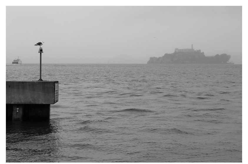 Alcatraz in fog
