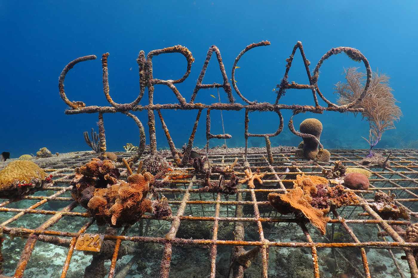 Curacao, kovová konstrukce pro růst korálů