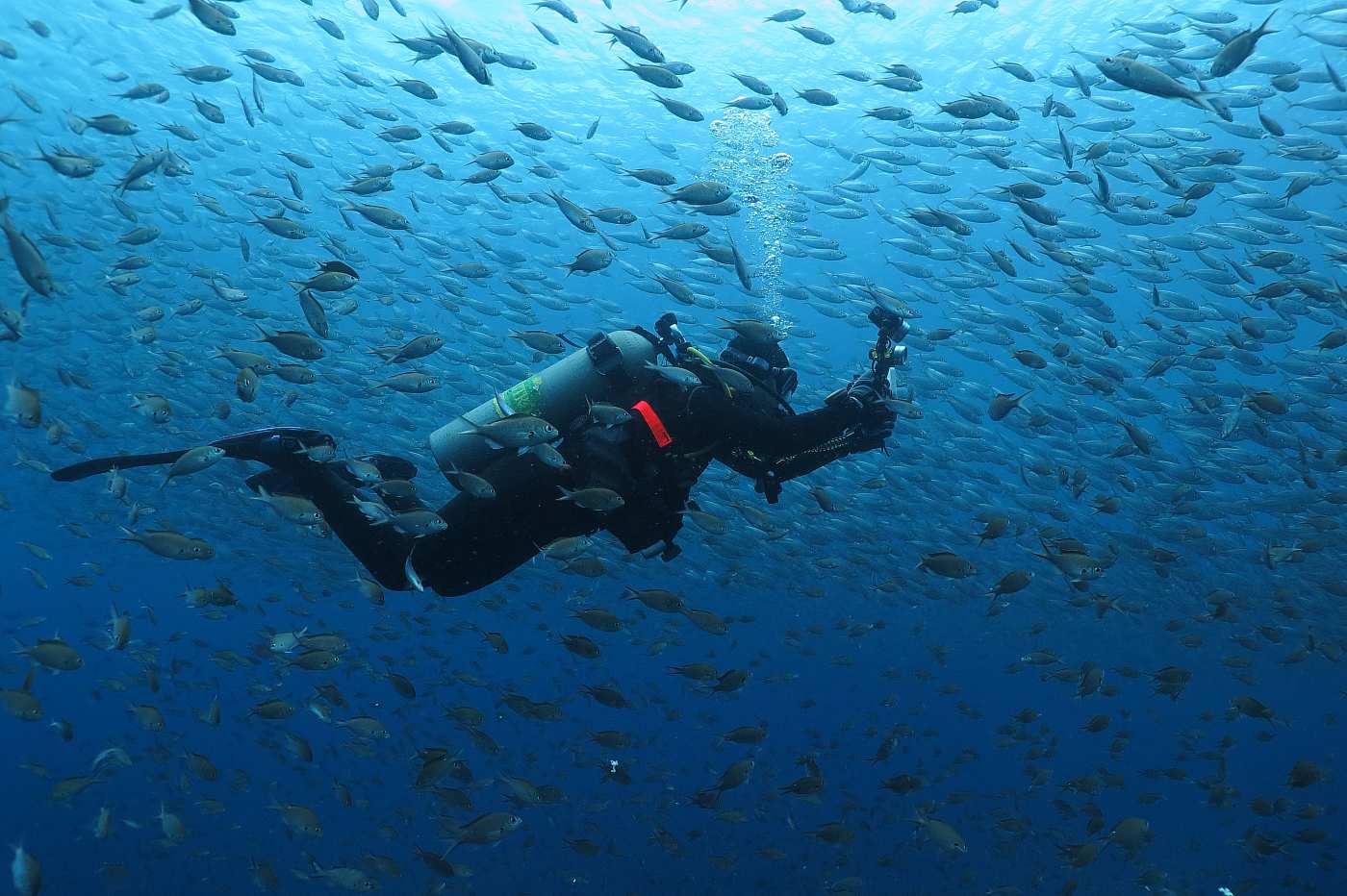 Curacao, .
