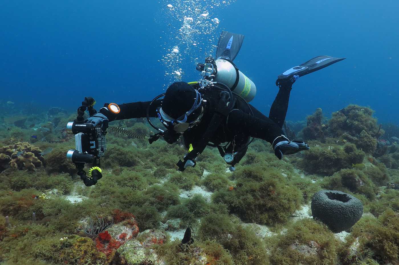 Curacao, .