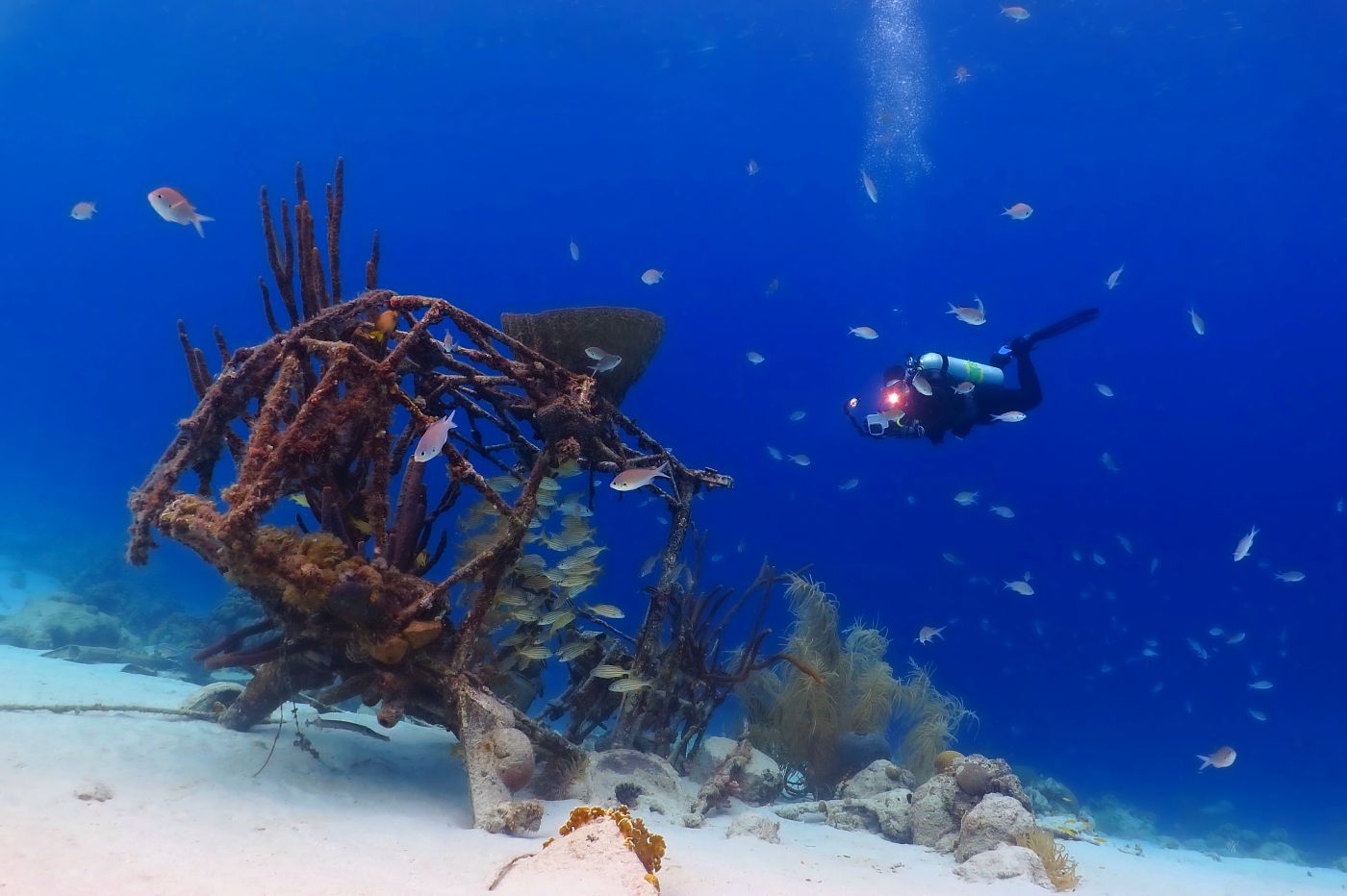 Curacao, vrak malého letadla, zátoka svaté Marty