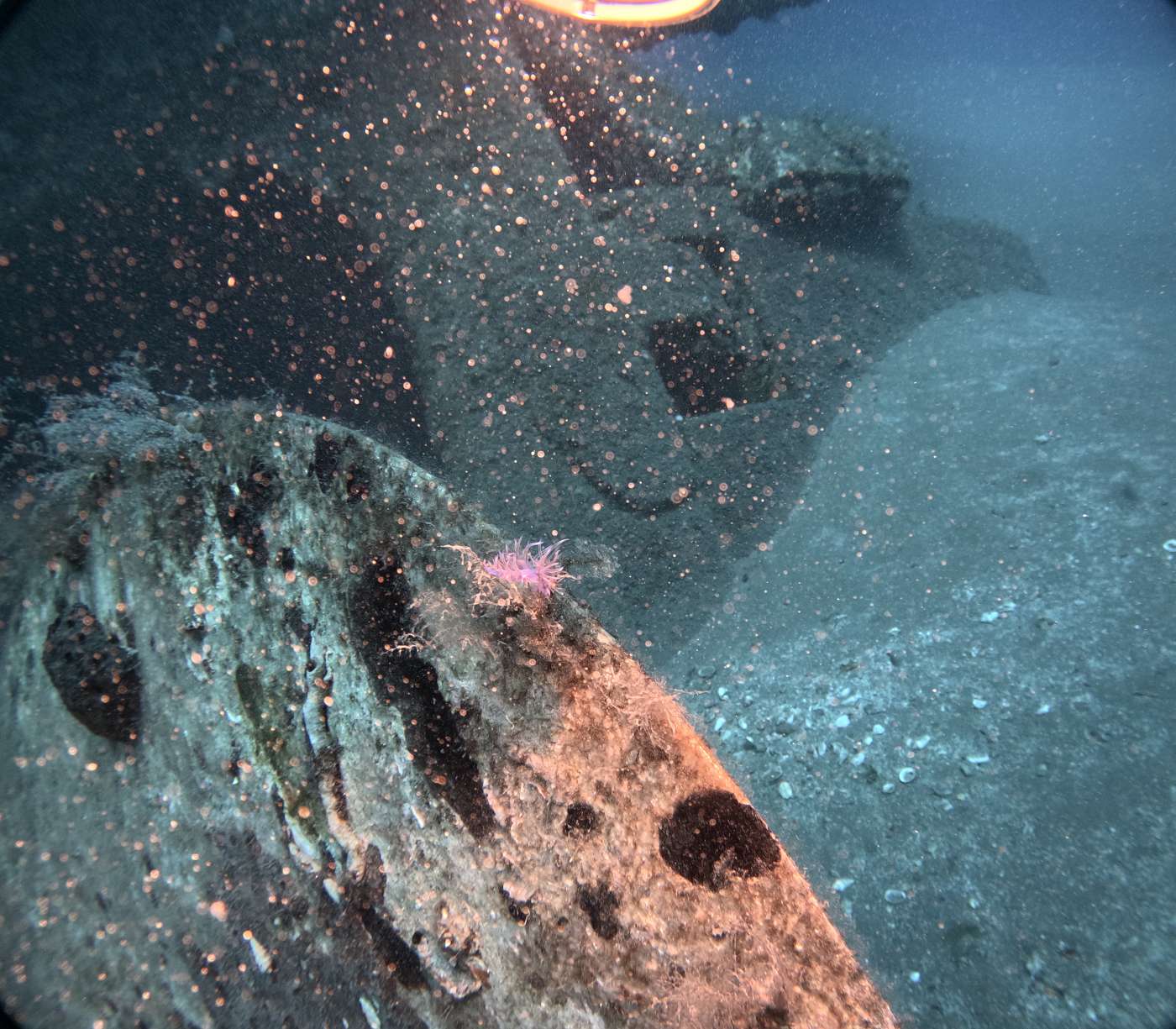 Výsledný snímek z akční kamery GoPro Hero 12