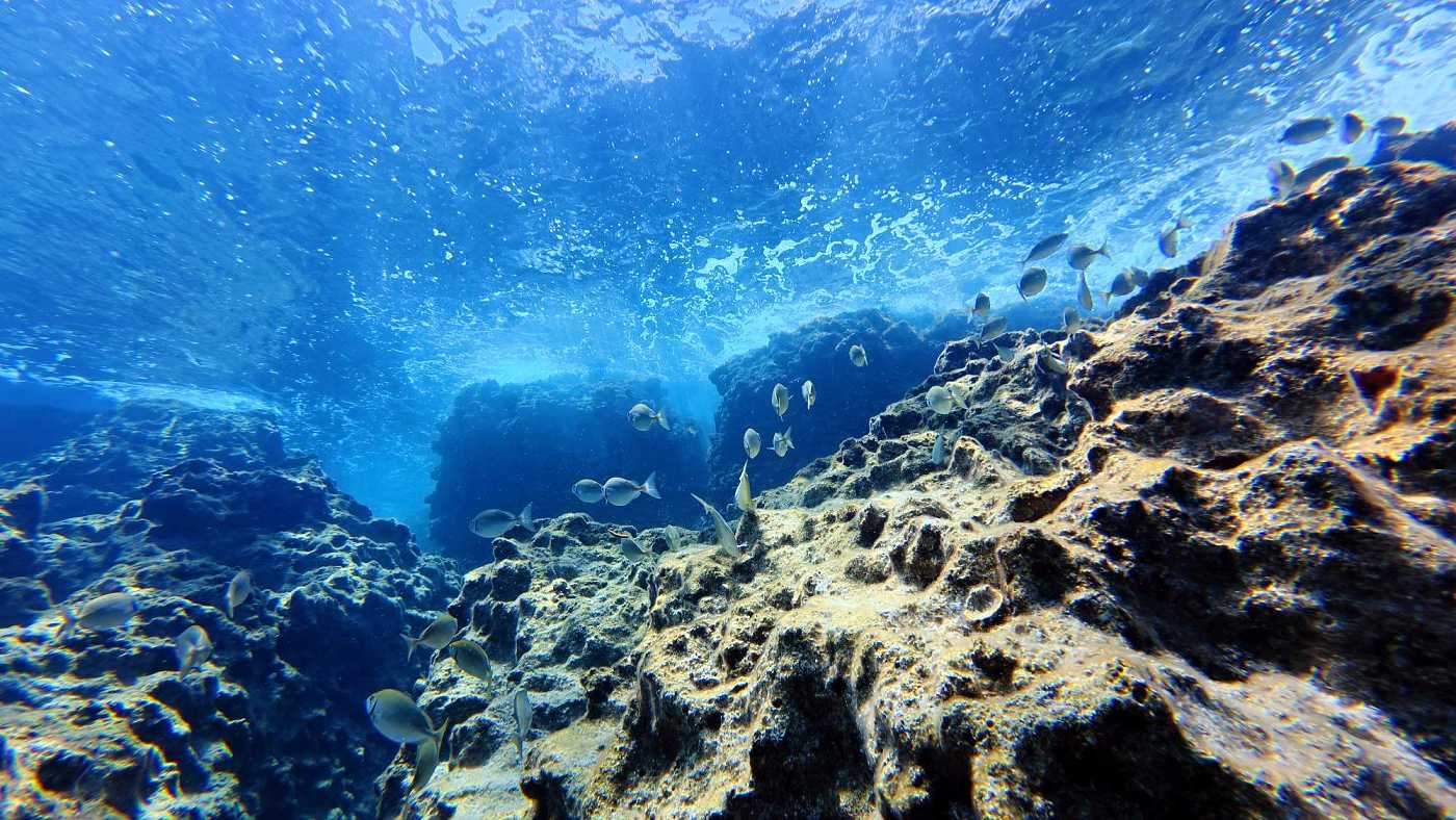 Mělká voda s houpající se hladinou a hejnem ryb kousek od zátoky sv. Pavla