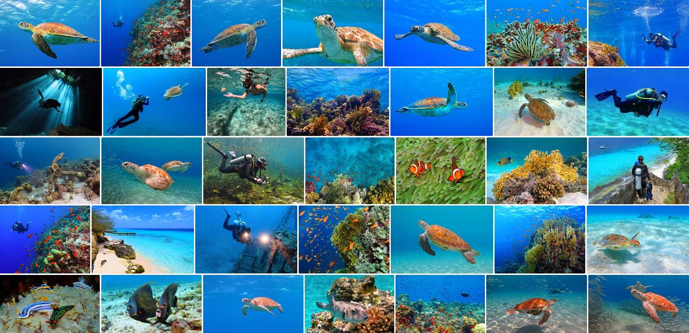 Výběr některých našich úspěšně celosvětově prodávaných fotografií.